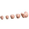 Oticon Own Hearing Aids